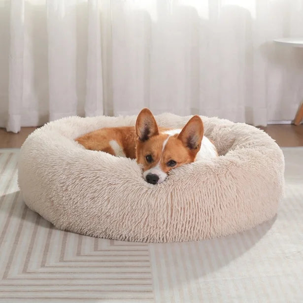 Calming Donut Bed