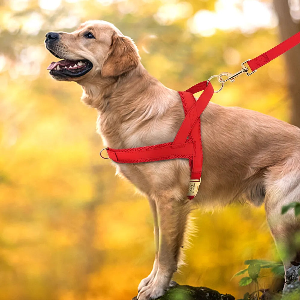 Personalised No-Pull Harness with Name Engraving