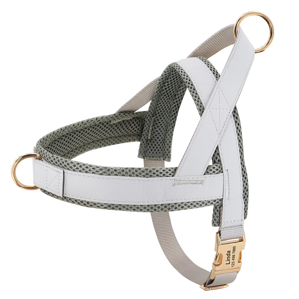 Personalised No-Pull Harness with Name Engraving