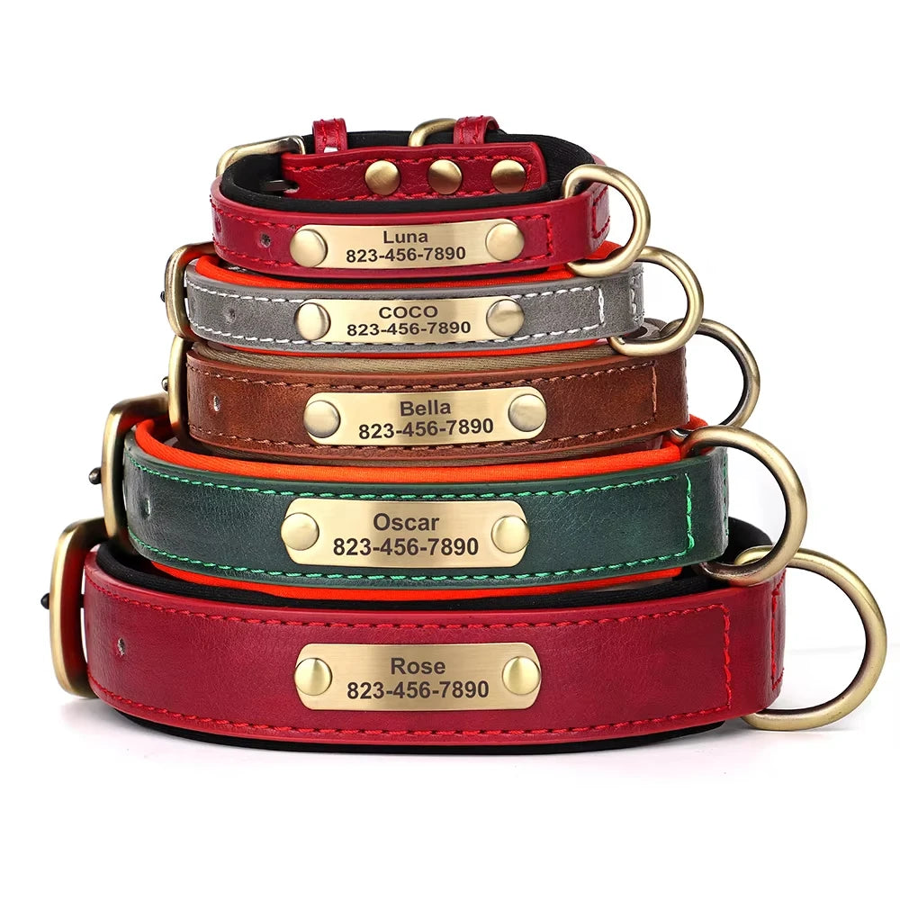Personalised Leather Collar