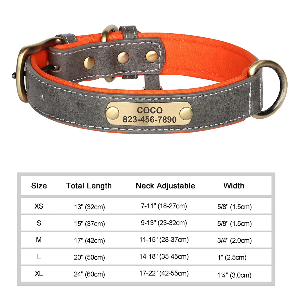 Personalised Leather Collar