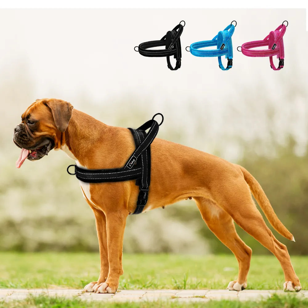 No-Pull Padded Walking Harness