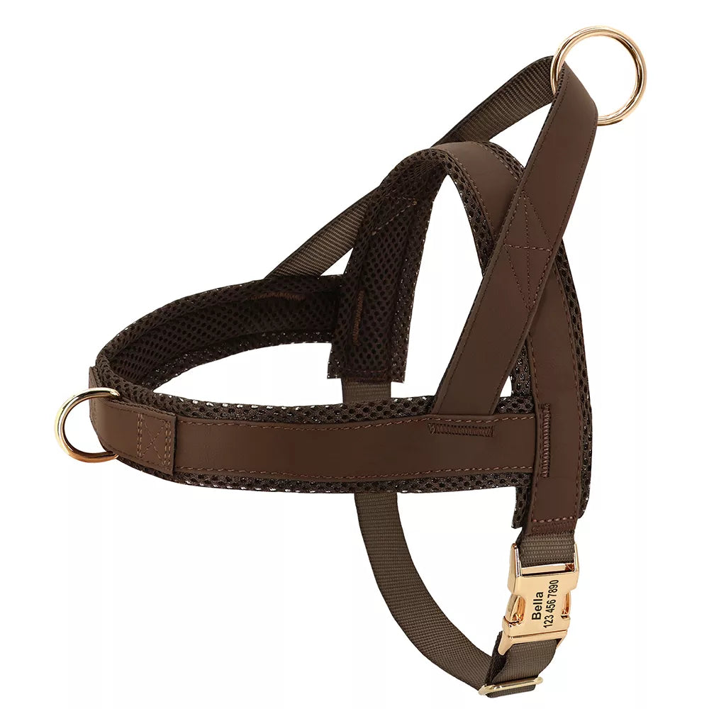 Personalised No-Pull Harness with Name Engraving