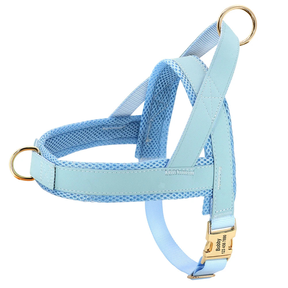 Personalised No-Pull Harness with Name Engraving