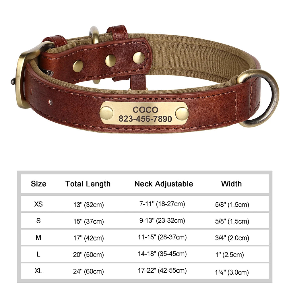 Personalised Leather Collar