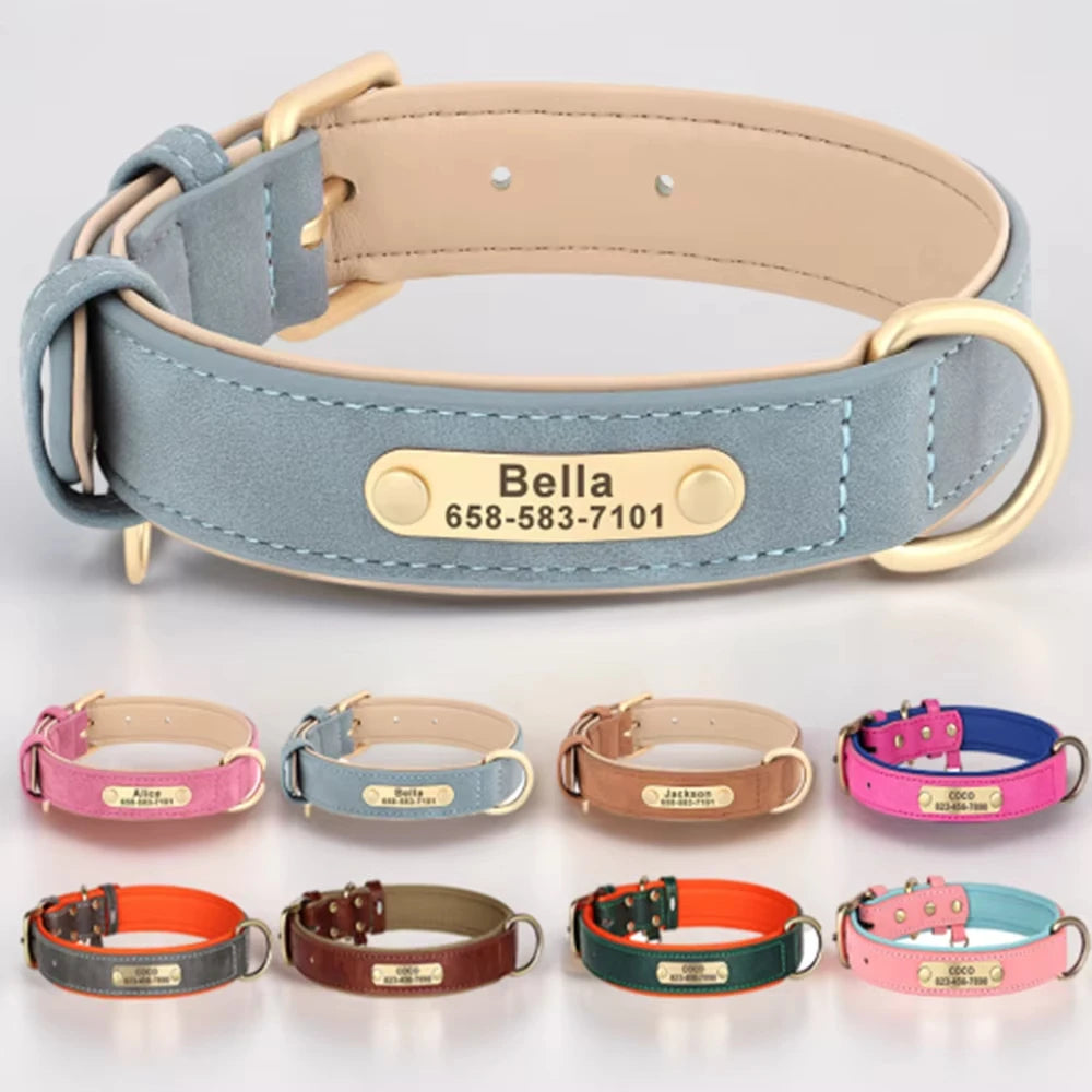 Personalised Leather Collar