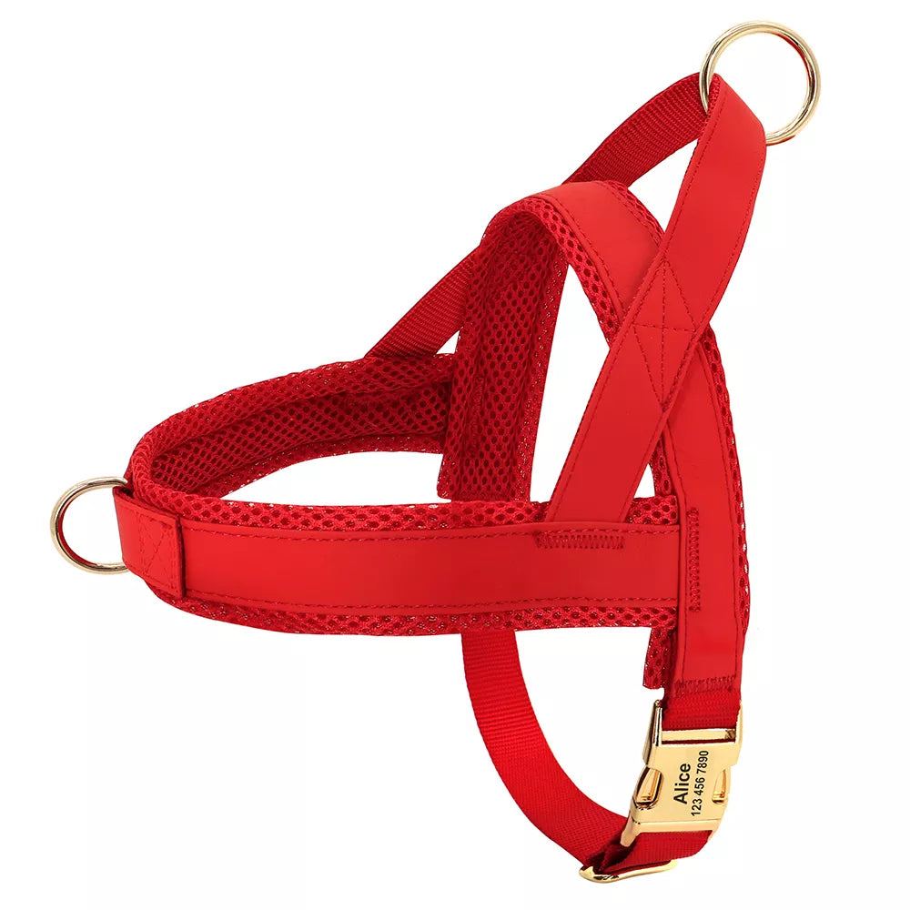Personalised No-Pull Harness with Name Engraving