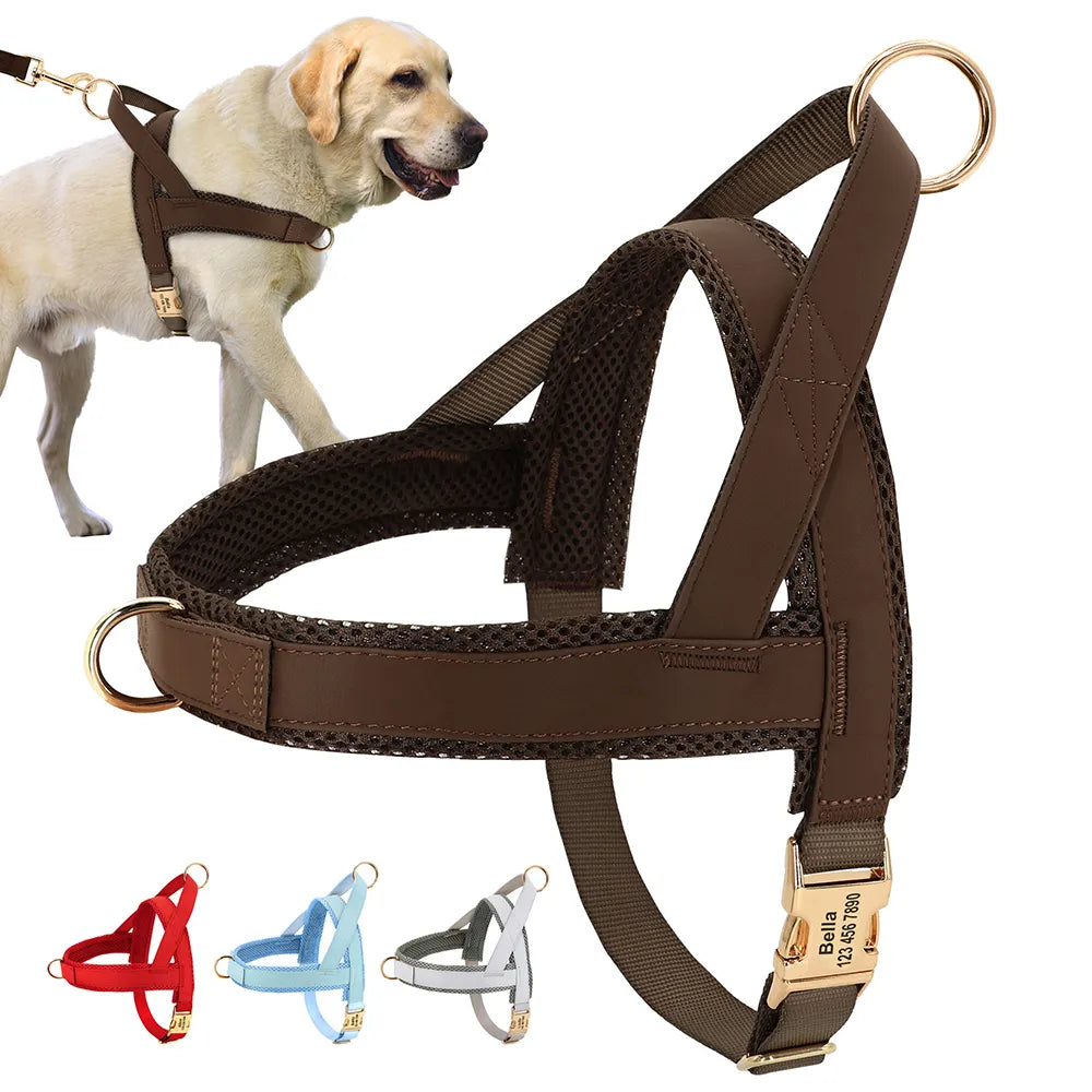 Personalised No-Pull Harness with Name Engraving