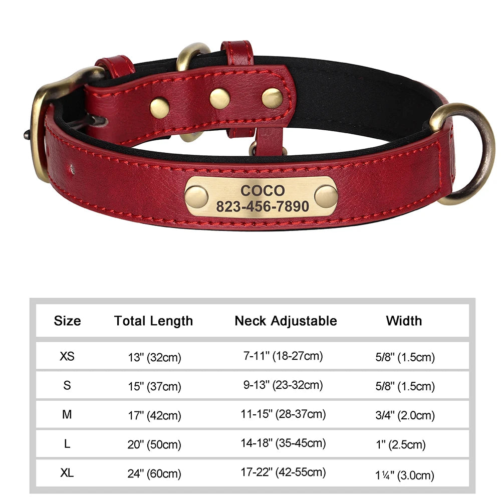 Personalised Leather Collar