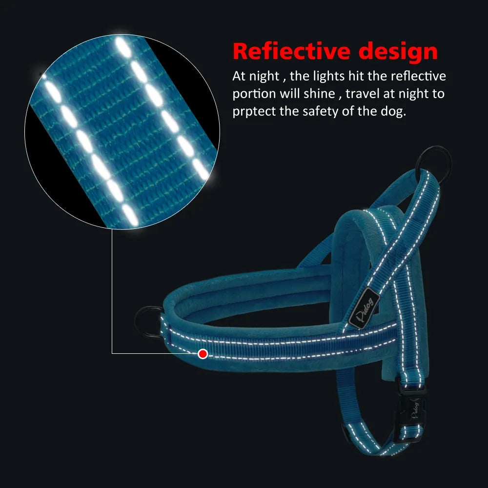 No-Pull Padded Walking Harness