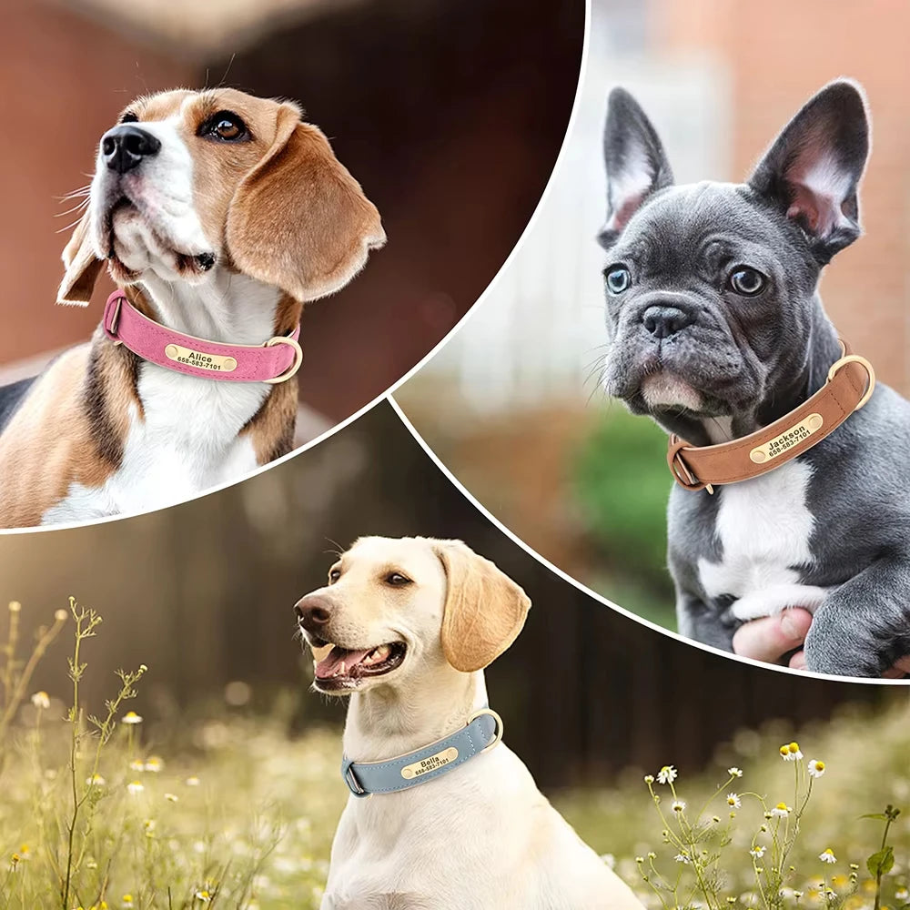Personalised Leather Collar