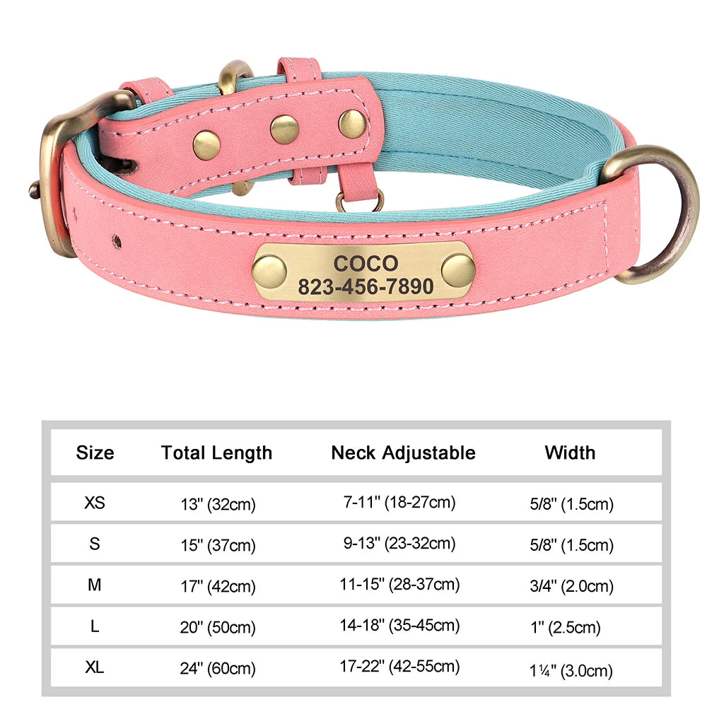 Personalised Leather Collar