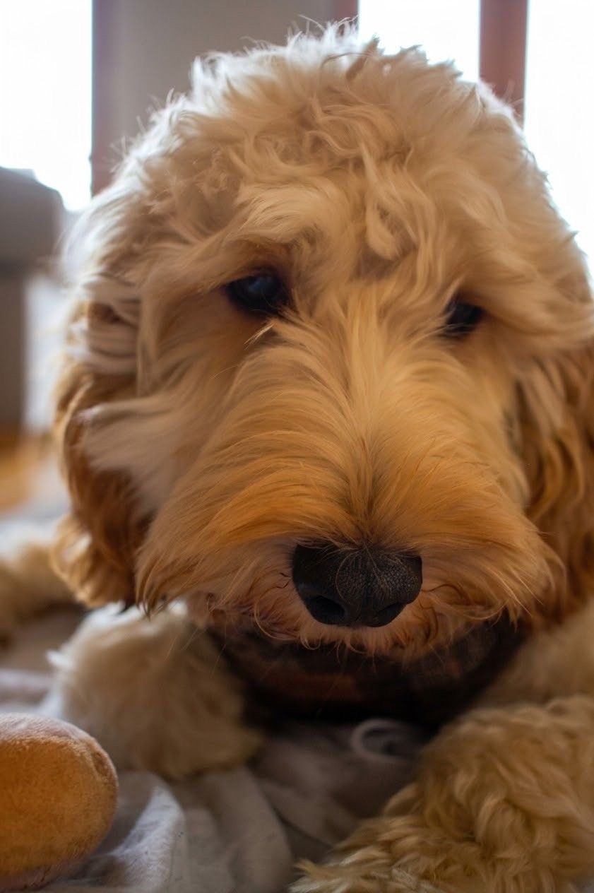 Close-up of Charlie's face